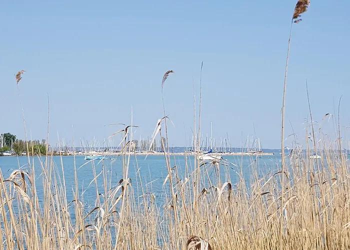 Coastline Balaton Apartment