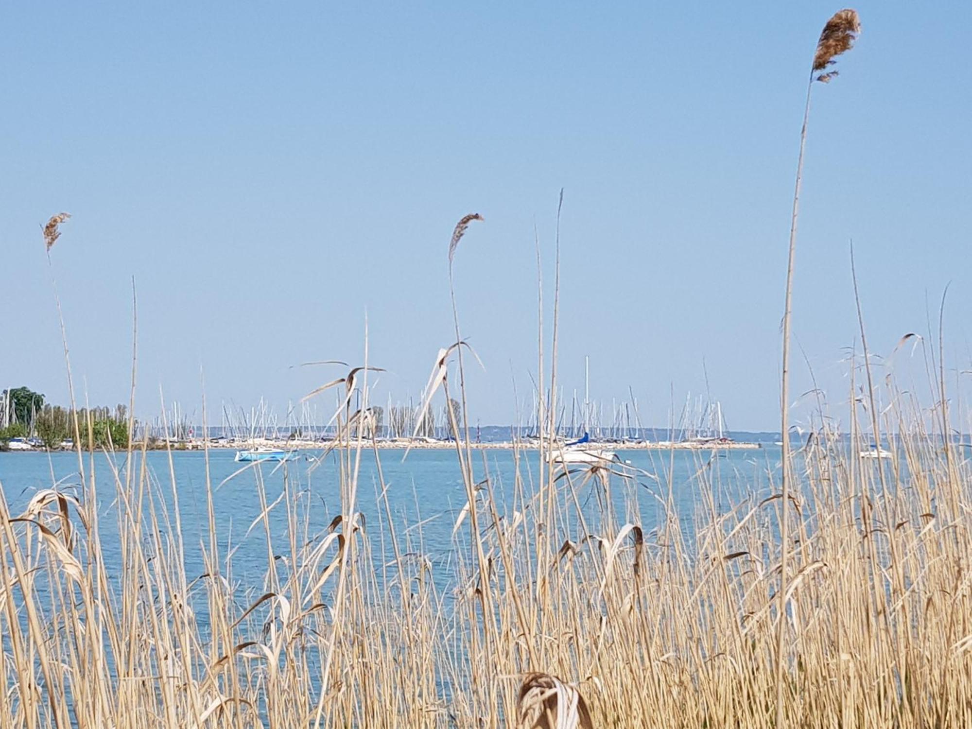 Coastline Balaton
